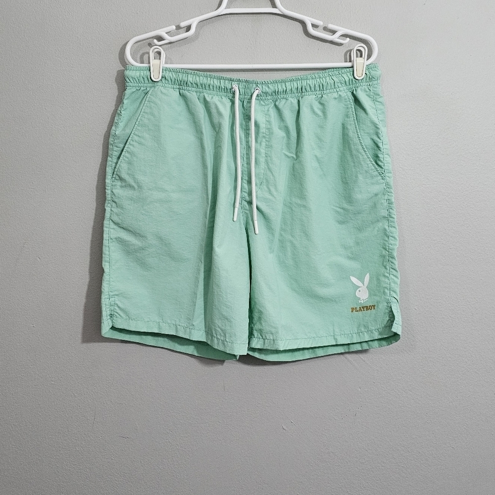 Pacsun Playboy Mint Swim Trunks